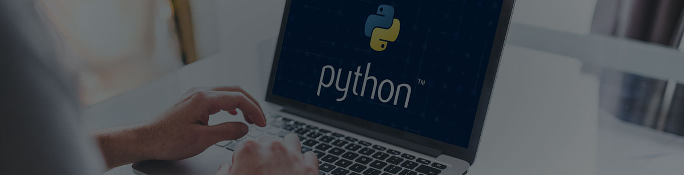 Hire Python developer on remote freelance engagement